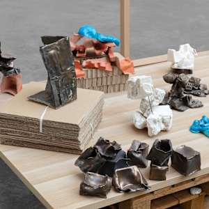 Amazon® in Ruins by Marisa Tesauro, Image 3.