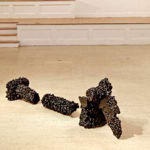 Arrangement of the Retrieved by Marisa Tesauro  Image: Installation view at Newton Art Center 