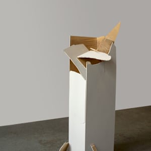 Structure 53 of the Poetic Message: The Inversion by Marisa Tesauro 