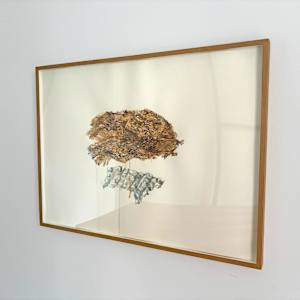 Waste Cloud Descending by Marisa Tesauro  Image: Installation view with frame