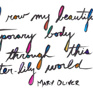 I row my beautiful temporary body by Karen J Gimbel