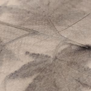 Autumn Impression by Grith Stagaard  Image: Detail 