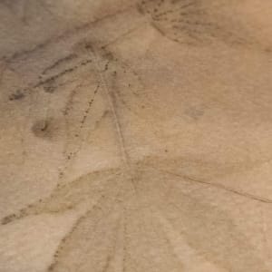 Autumn Impression by Grith Stagaard  Image: Detail