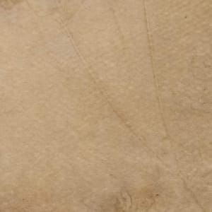 Autumn Impression by Grith Stagaard  Image: Detail