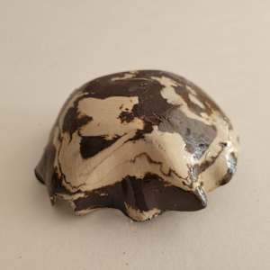 Light on Water  - Leaf by Philippa Mollet 