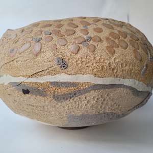 Genesis by Philippa Mollet 