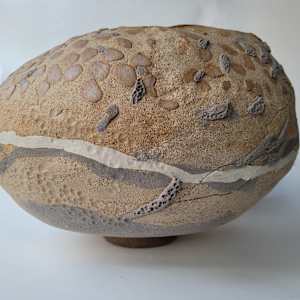 Genesis by Philippa Mollet 