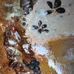 Genesis by Philippa Mollet 