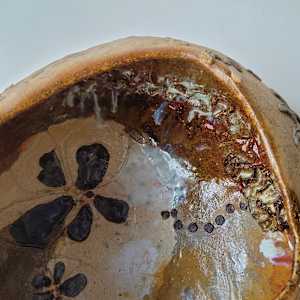 Genesis by Philippa Mollet 