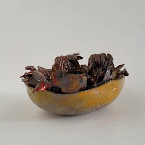 Bloom - open Seed by Philippa Mollet