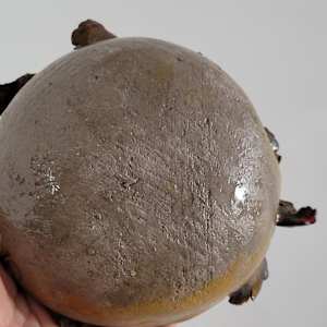 Bloom - open Seed by Philippa Mollet