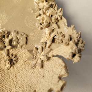 Leaf VI - d by Philippa Mollet