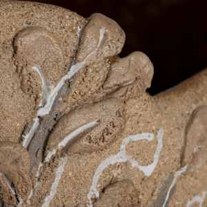 Wishing Well V by Philippa Mollet 