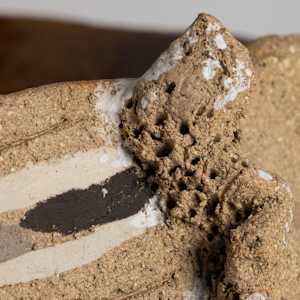 Wishing Well V by Philippa Mollet 