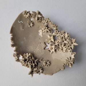 Leaf V by Philippa Mollet 