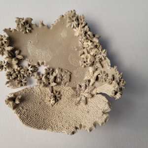 Leaf VI - d by Philippa Mollet