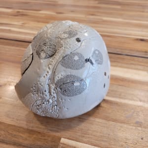 Seed - Day by Philippa Mollet 