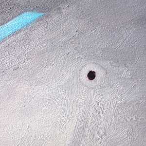 The Birth of Imagination by Craig Moran, Image 7.