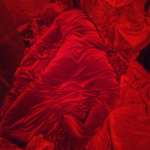 Instalació Esquartejades by Maïs Jorba 