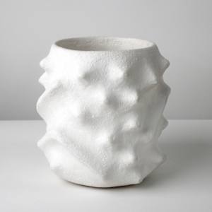 Amasumpa Vessel by Pilar Wiley 