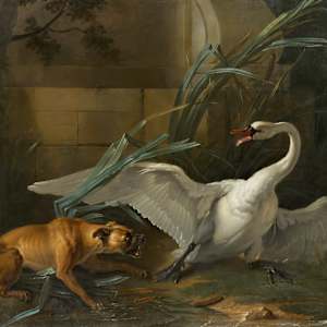 Interpretation - Swan attacked by a dog (Jean-Baptiste Oudry) by Noah Kauertz 