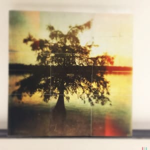 lake Chicot by Lisa Bertagna 