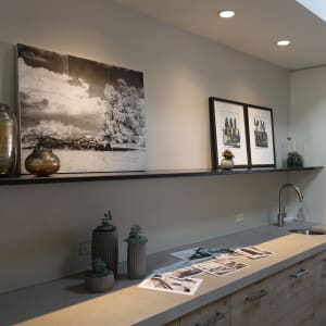 tree Braden, TN by Lisa Bertagna  Image: installed at Carlton Edwards in 2017