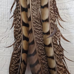 Horse Feather Spirit-Catcher by Hayley Kathleen Burton 