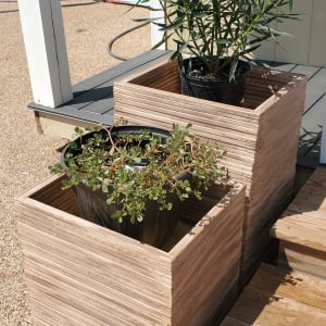Decorative Planters Set - Taupe by Hayley Kathleen Burton