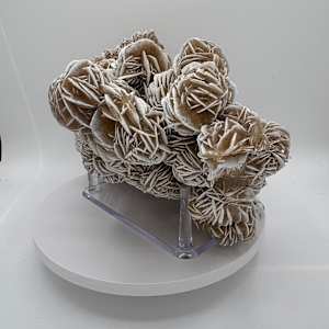 Desert Rose Selenite Mineral Cluster 