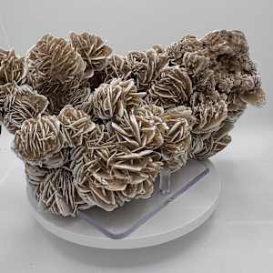 Desert Rose Selenite Mineral Cluster 