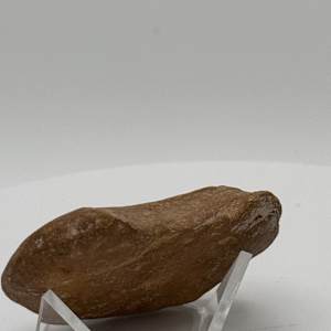 Hieroglyphic Engraved Stone 