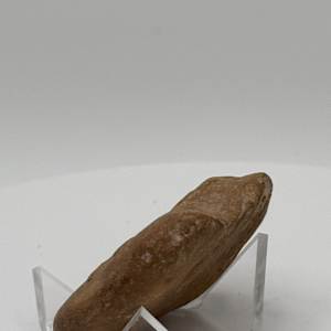Hieroglyphic Engraved Stone 