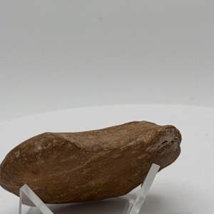 Hieroglyphic Engraved Stone 