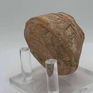 Indus Valley Civilization Pottery 