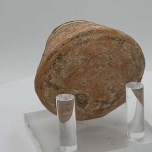 Indus Valley Civilization Pottery 
