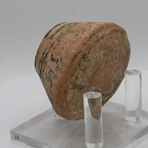 Indus Valley Civilization Pottery 