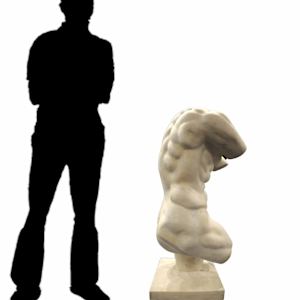 Continental Carved Marble Male Torso 