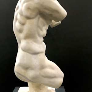 Continental Carved Marble Male Torso 