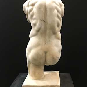 Continental Carved Marble Male Torso 