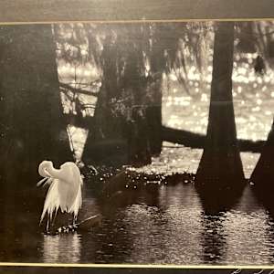 “Afternoon Ritual” by Lane Lefort 