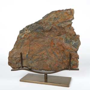 Large Fossilized Pecoptens Tree Fern slab on stand