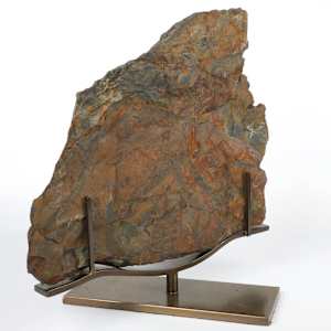 Large Fossilized Pecoptens Tree Fern slab on stand 