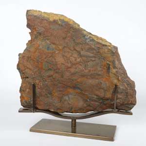 Large Fossilized Pecoptens Tree Fern slab on stand 