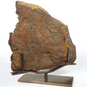 Large Fossilized Pecoptens Tree Fern slab on stand 