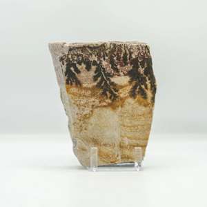 Double-sided Utah dendrite 