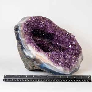Deep Purple Amethyst Geode with a Polished Rim 