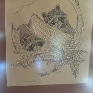 “Raccoons in the Forest” by Unknown