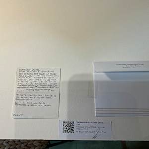 "The Madonna in Glory with Saints" by Francesco Chiozzi (Casalmaggiore 1725-ca. 1785) 