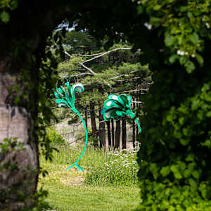 Green Squirt  from Windswept    ( 1 of 3 units, each slightly different) by Vivien  Collens 